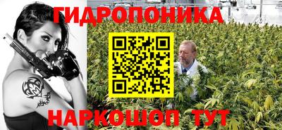 стафф Берёзовский