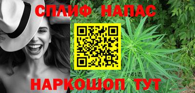 стафф Берёзовский