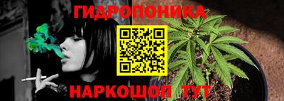 стафф Берёзовский