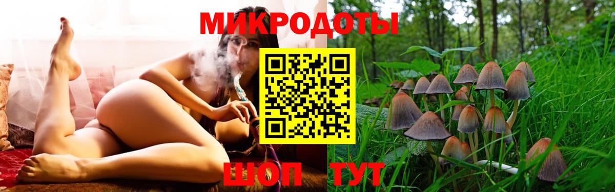 Псилоцибиновые грибы Psilocybine cubensis  Галлюциногенные грибы мицелий  Вход с VPN  Кисловодск 
